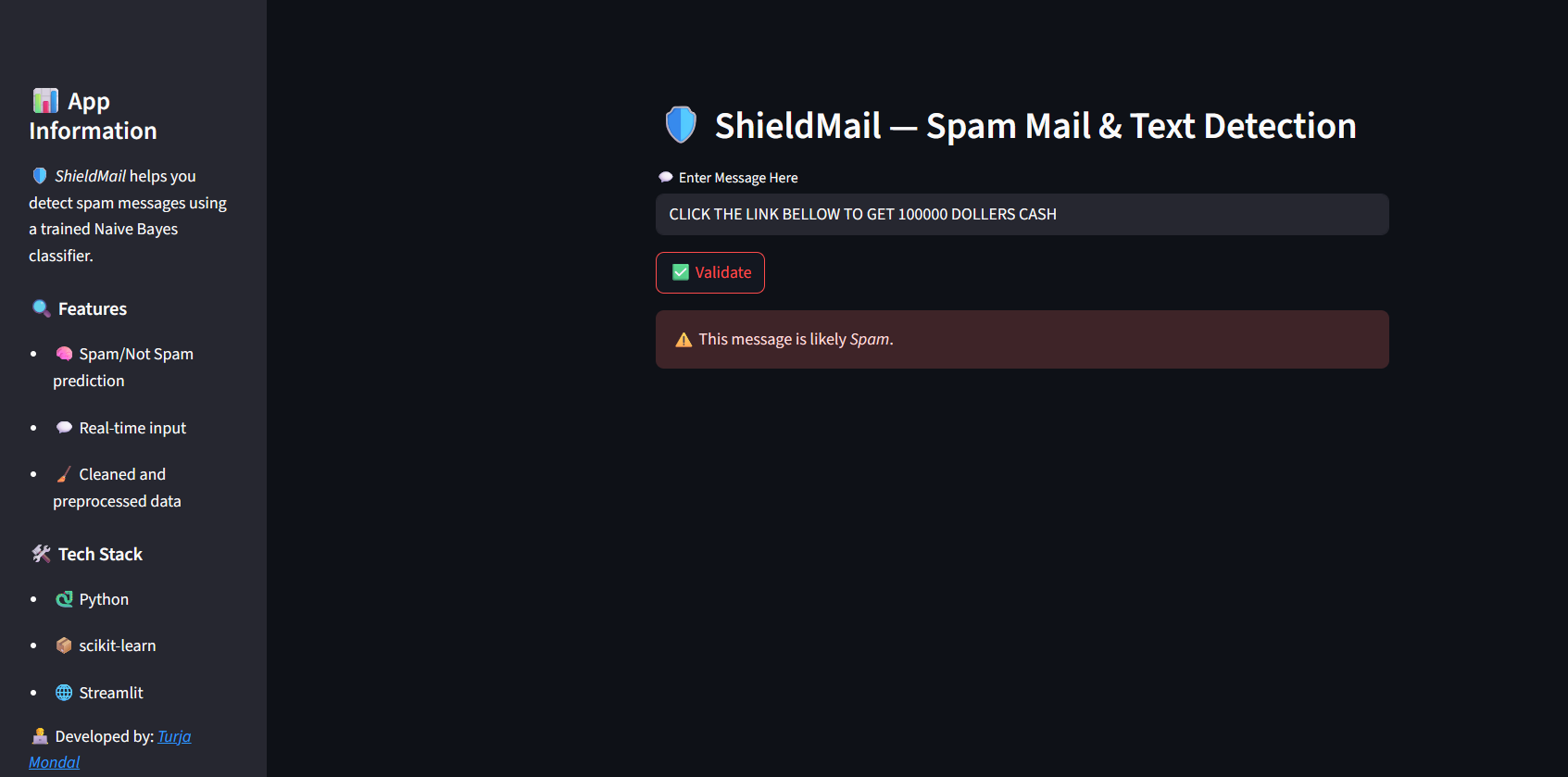 ShieldMail Project Screenshot
